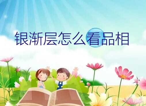 渐层幼猫失败品相（银渐层怎么看品相）