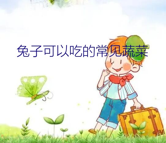 兔子可以吃的常见蔬菜