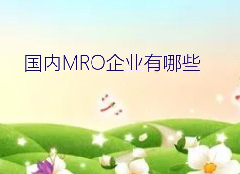 国内MRO企业有哪些