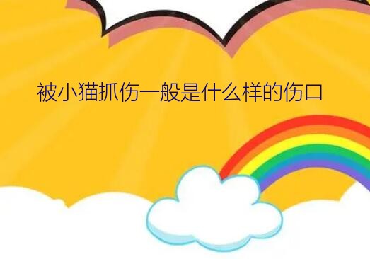 被小猫抓伤一般是什么样的伤口