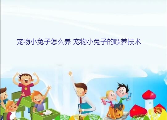 宠物小兔子怎么养 宠物小兔子的喂养技术