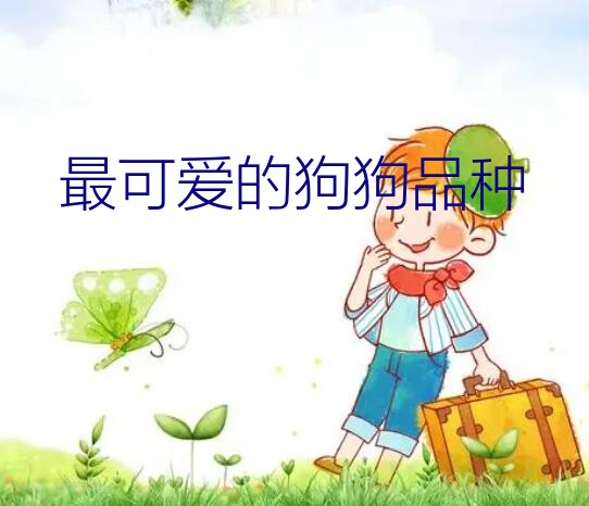 最可爱的狗狗品种？世界上什么品种的狗狗最可爱最漂亮