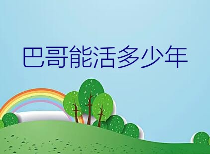 巴哥能活多少年？我养的巴哥犬已经一年了，我想知道相当于人的几岁