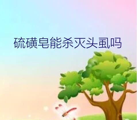 头虱为什么怕硫磺皂（硫磺皂能杀灭头虱吗）