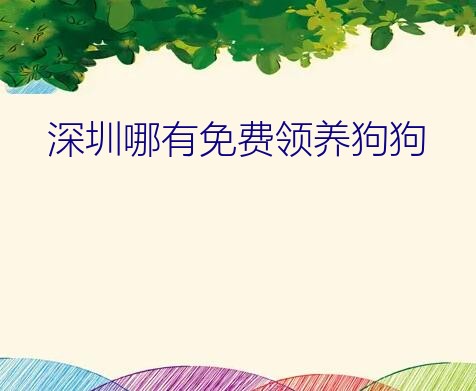 深圳哪有免费领养狗狗