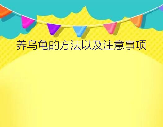 养乌龟的方法以及注意事项？养乌龟的方法以及注意事项