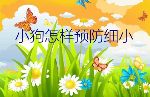 细小潜伏期怎么预防发病（小狗怎样预防细小）