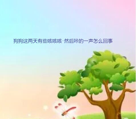 狗狗这两天有些咳咳咳··然后咔的一声怎么回事