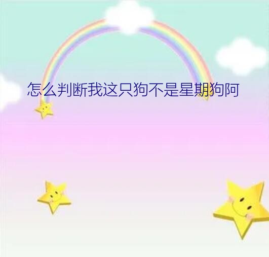 怎么判断我这只狗不是星期狗阿