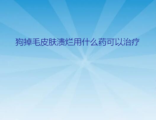 狗掉毛皮肤溃烂用什么药可以治疗