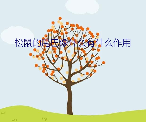 松鼠的尾巴像什么（松鼠的尾巴像什么有什么作用）