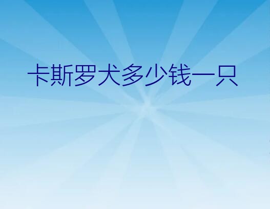 卡斯罗一只多少钱（卡斯罗犬多少钱一只）