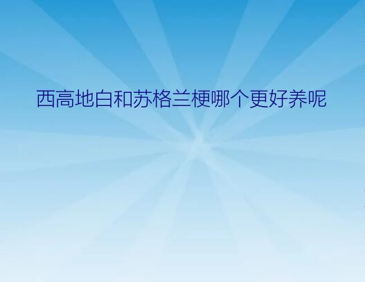 苏格兰梗和西高地（西高地白和苏格兰梗哪个更好养呢）