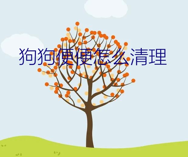 不能当面清理狗大便（狗狗便便怎么清理）