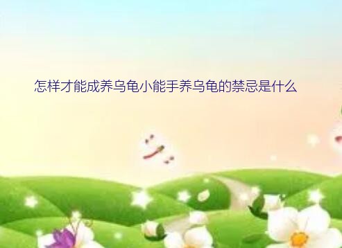 怎样才能成养乌龟小能手养乌龟的禁忌是什么？养龟的禁忌有哪些