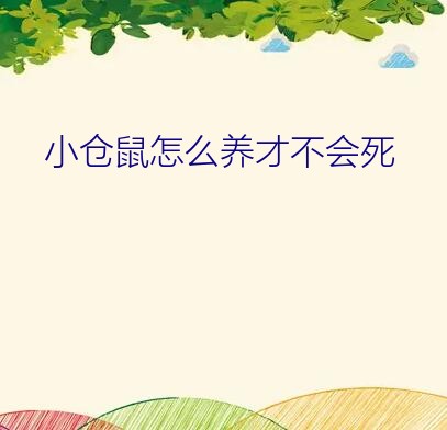 小仓鼠怎么养才不会死