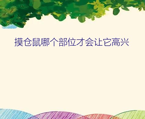 摸仓鼠哪个部位才会让它高兴