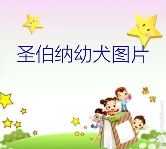 圣伯纳幼犬图片