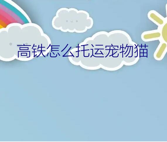 高铁怎么托运宠物猫？宠物高铁托运流程