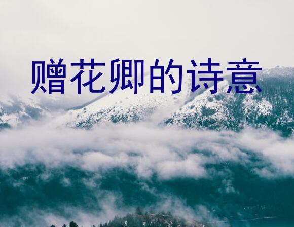 赠花卿的诗意