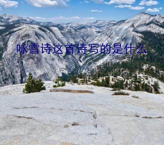 咏雪诗这首诗写的是什么