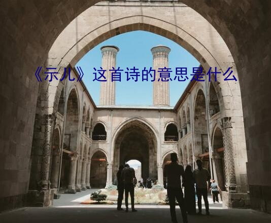 《示儿》这首诗的意思是什么