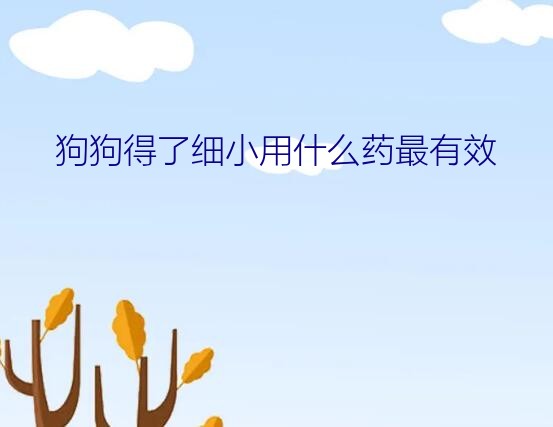 细小吃什么药能治好（狗狗得了细小用什么药最有效）