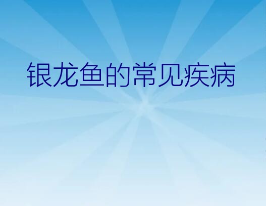 如何判断银龙鱼生病了（银龙鱼的常见疾病）