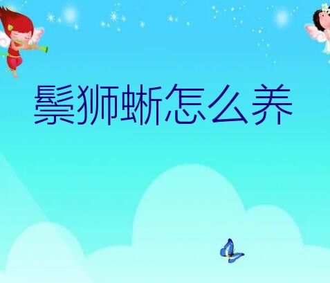 适合小孩子养的蜥蜴（鬃狮蜥怎么养）