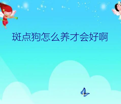 斑点狗怎么养才会好啊