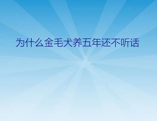 为什么金毛犬养五年还不听话