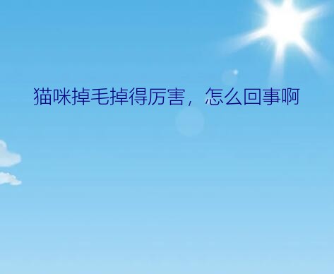 猫咪掉毛掉得厉害，怎么回事啊？4、5月份是不是猫掉毛最厉害的