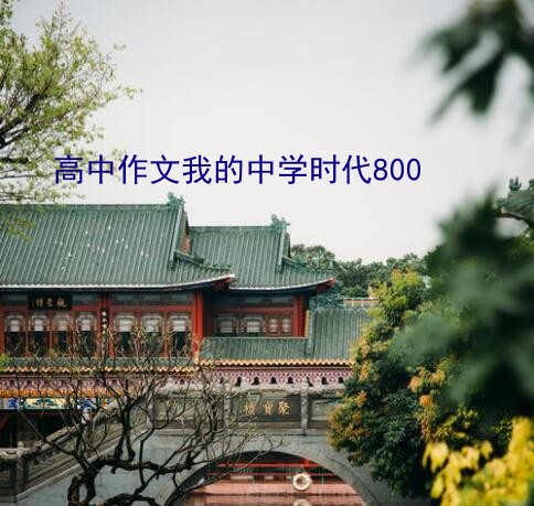 高中作文我的中学时代800