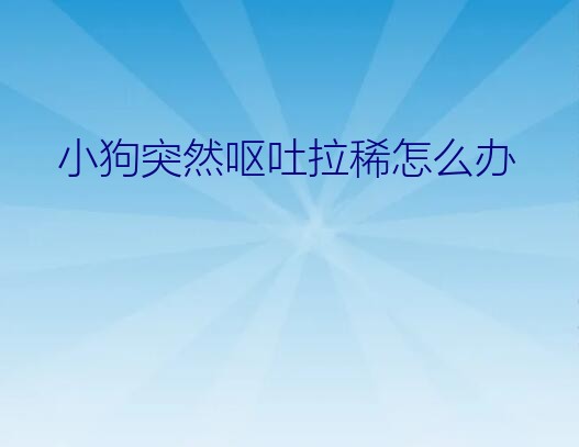 小狗拉稀呕吐怎么办（小狗突然呕吐拉稀怎么办）