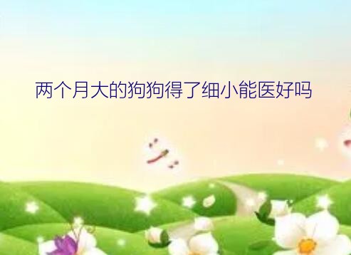 两个月大的狗狗得了细小能医好吗