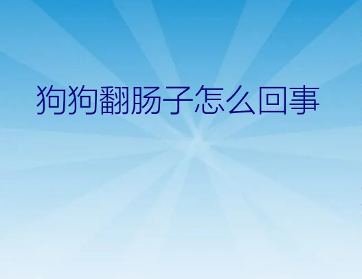 狗狗翻肠子怎么回事？说小狗翻肠是怎么回事啊 该怎么治疗