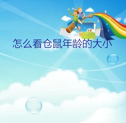 怎么看仓鼠年龄的大小？仓鼠年龄怎么看