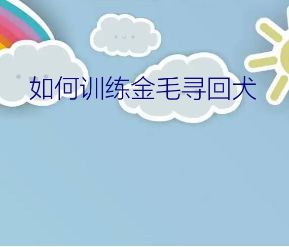 如何训练金毛寻回犬？金毛寻回犬训练视频教程