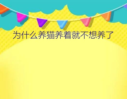 一时冲动养了猫现在后悔了（为什么养猫养着就不想养了）