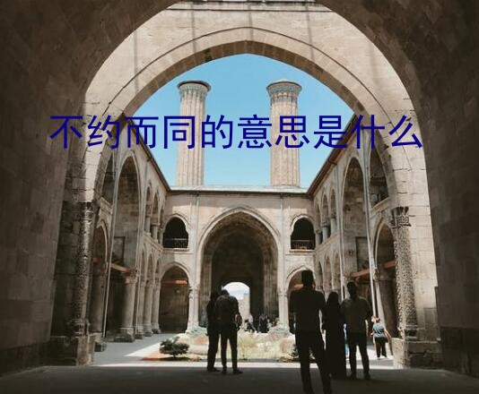 不约而同的意思是什么？不约而同的意思