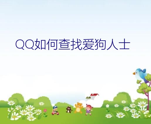 QQ如何查找爱狗人士