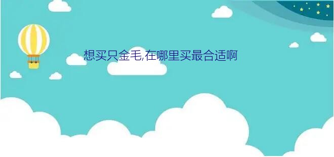 想买只金毛,在哪里买最合适啊？纯种金毛去哪里买