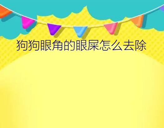 狗狗眼角的眼屎怎么去除？狗狗眼晴长期有眼屎（很多）怎么办