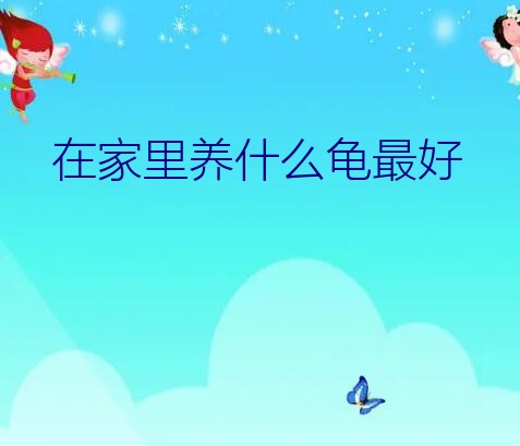 养什么龟最有灵性镇宅（在家里养什么龟最好）