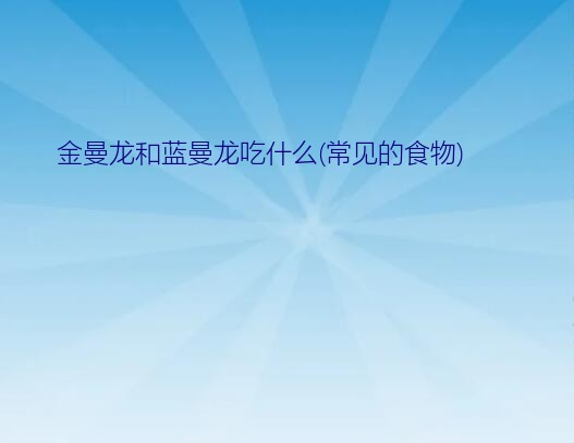 金曼龙和蓝曼龙吃什么(常见的食物)？成熟的金曼龙蓝曼龙,多久产卵一次