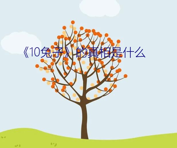 《10兔子》的真相是什么