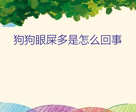 狗狗眼屎多是怎么回事？狗狗眼屎多是怎么回事