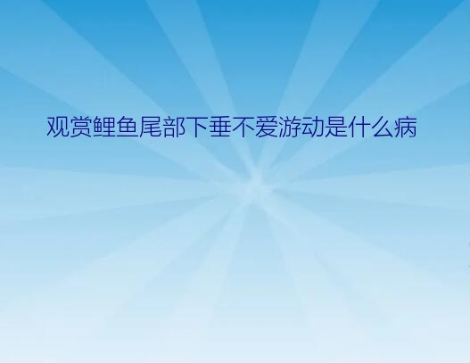 观赏鲤鱼尾部下垂不爱游动是什么病？灯科鱼身体变形怎么回事