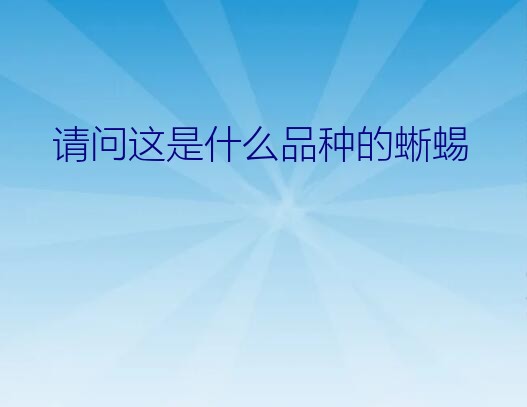 请问这是什么品种的蜥蜴？请问中国蜥蜴的具体分布情况！谢谢！