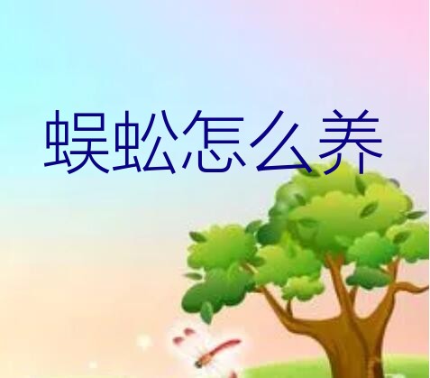 蜈蚣怎么养